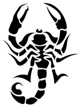 Scorpion Tattoo Png Images Download PNG Images