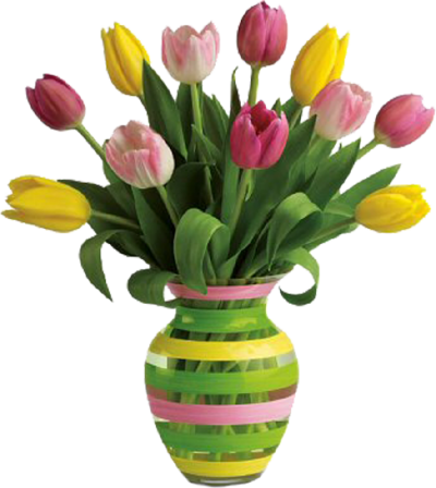 Colorful Rosa Vase Png Transparent Images PNG Images