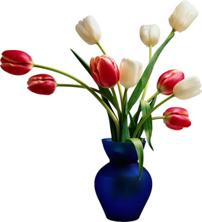 Flowers In Vases Photos PNG Images