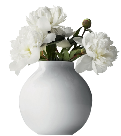 White Flower Vase Pictures PNG Images
