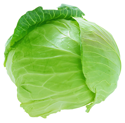 Vegetable Cabbage Transparent PNG Images