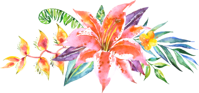 Watercolor illustration Of Flowers Png Picture PNG Images