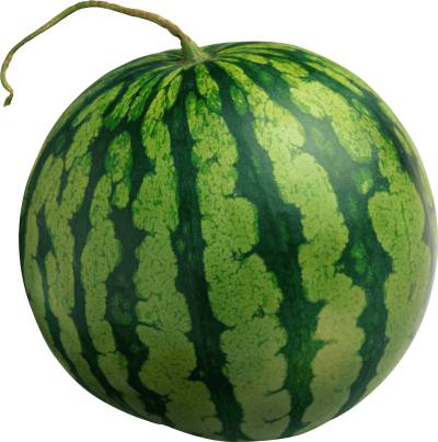 Watermelon Tumblr Png PNG Images
