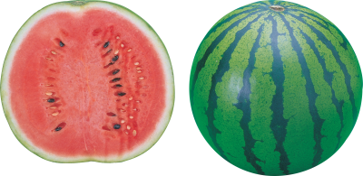 Watermelon Cut Out Picture PNG Images