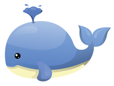 Whale Clipart Photo PNG Images