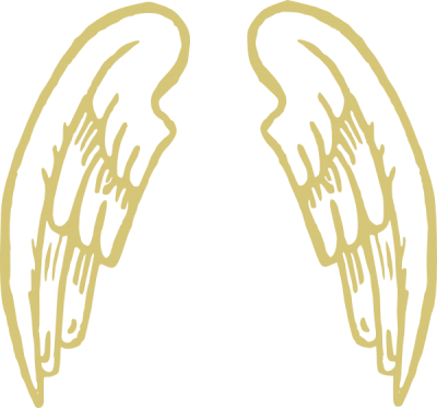 Golden Snitch Wings Clipart PNG Images