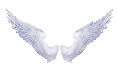 White Angel Wings Tattoo Hd Photo PNG Images