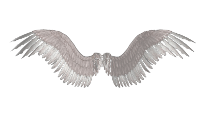 Wings Png Transparent PNG Images