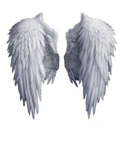 Download WINGS Free PNG transparent image and clipart