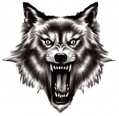 In Those Yellow Eyes Wlof Png PNG Images