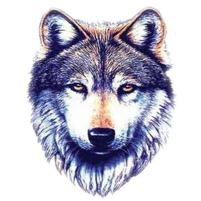 Latest Wolf Tattoo Designs White Images PNG Images