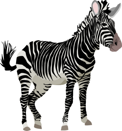 Zebra Png PNG Images