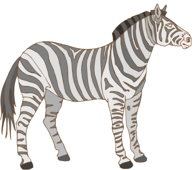 Zebra Clipart Transparent PNG Images